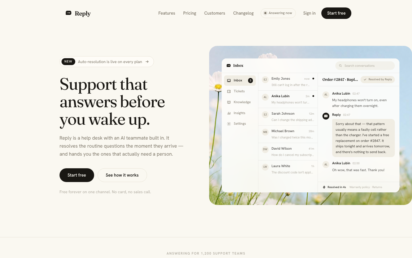 Reply template preview